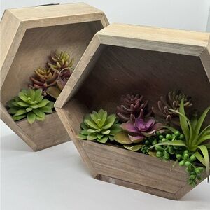 Succulent Artificial Arrangement Wood Wall Plantar Set